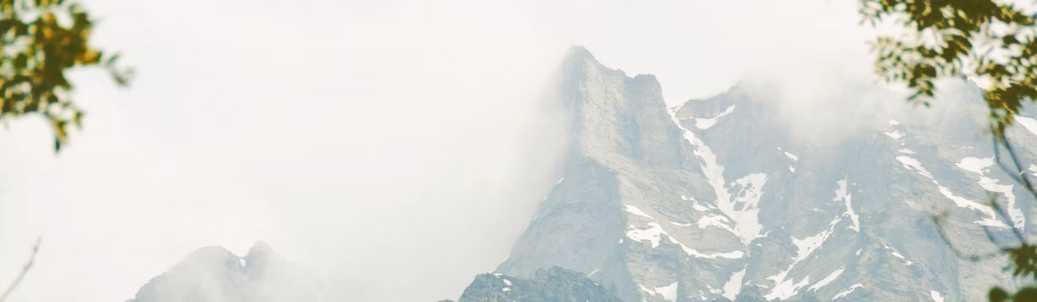 page-background